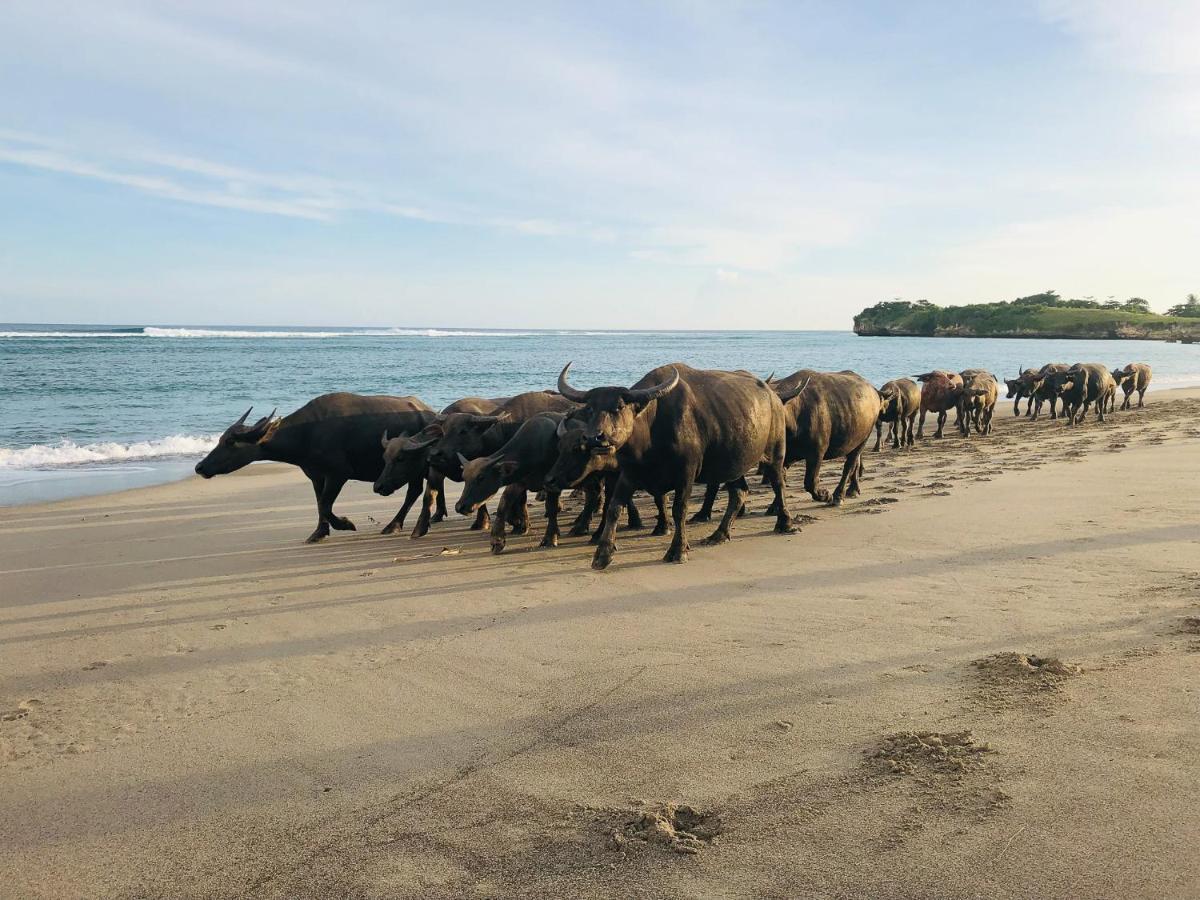 Sumba Beach House Hotel Waikabubak Ngoại thất bức ảnh